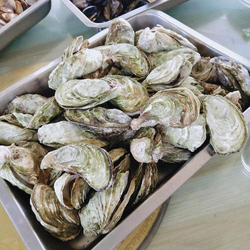 tutaksekix安装步骤示意图